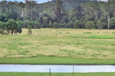 The Sanctuary - Family Retreat - Noosa Hinterland Villa North Arm Exterior photo