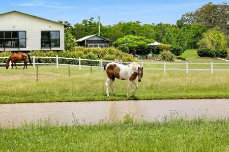 The Sanctuary - Family Retreat - Noosa Hinterland Villa North Arm Exterior photo