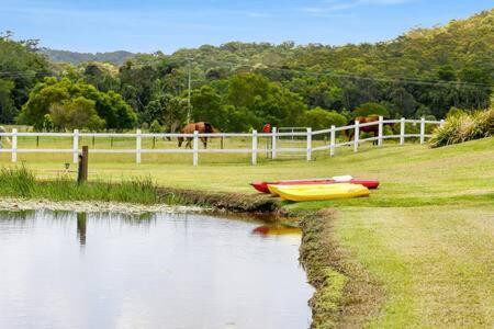 The Sanctuary - Family Retreat - Noosa Hinterland Villa North Arm Exterior photo